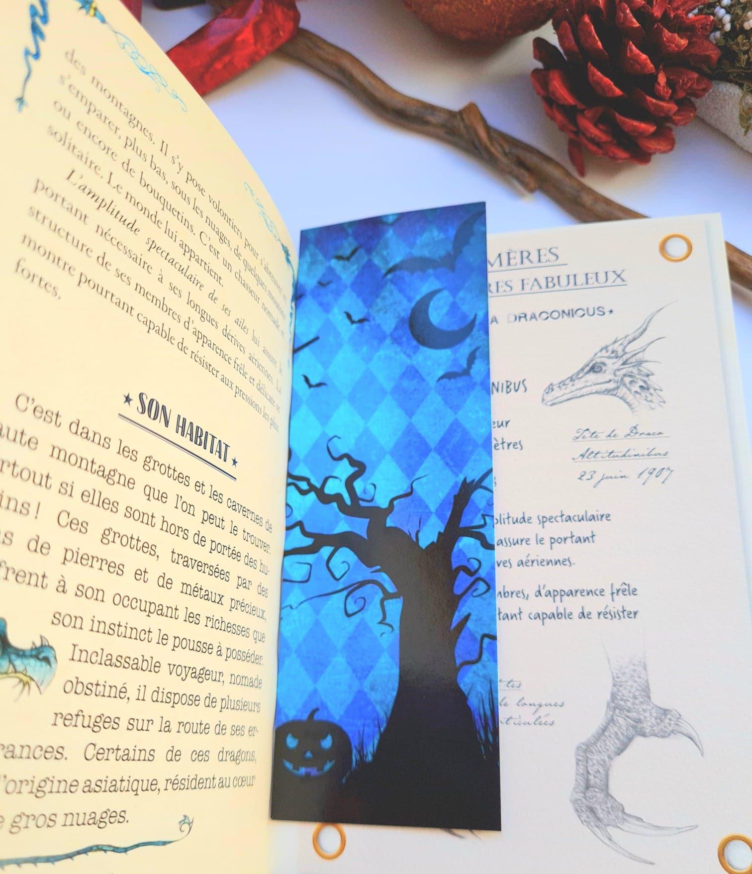Marque pages sorciere halloween bleu 3